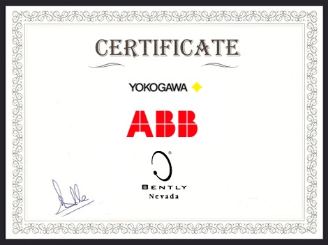 Certificate of Honor Ⅹ Certificate of Honor Ⅹ
