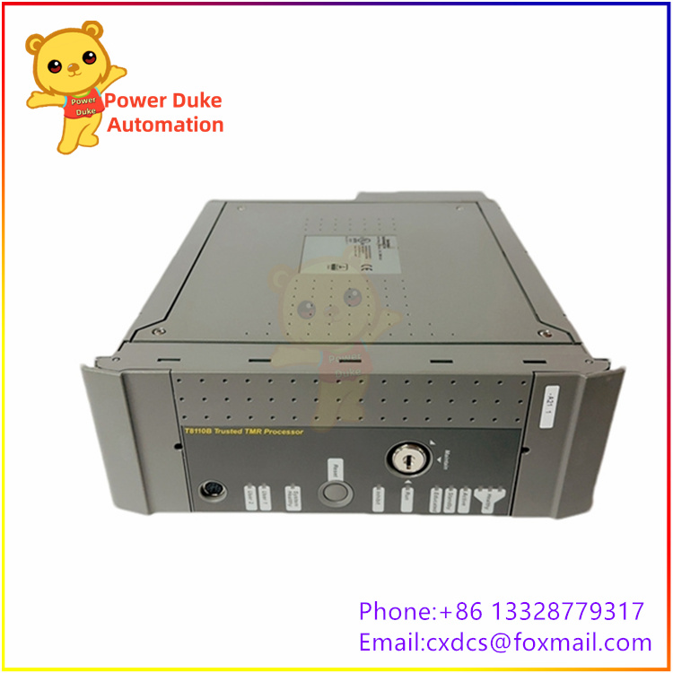 T8110B.jpg