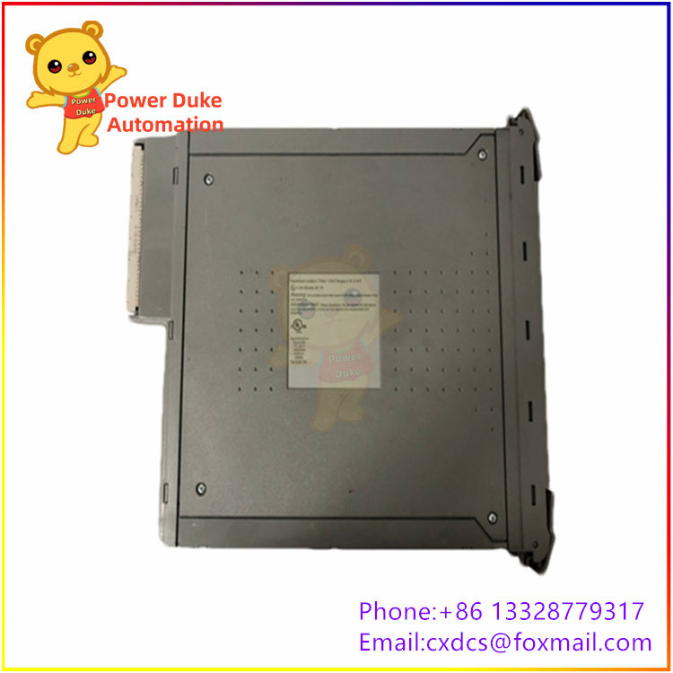 T8151B (3).jpg