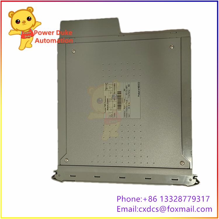 T8111C.jpg